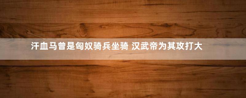 汗血马曾是匈奴骑兵坐骑 汉武帝为其攻打大宛